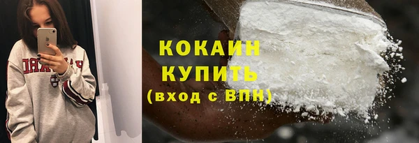 сатива Няндома