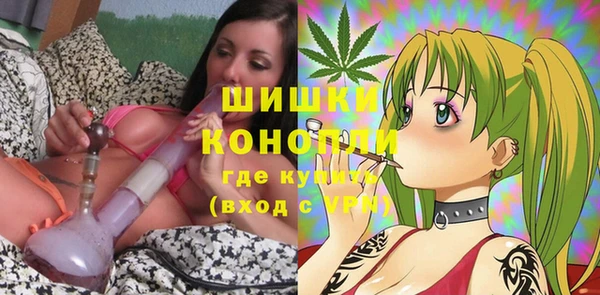 молекула духа Чекалин