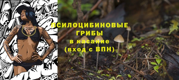 молекула духа Чекалин