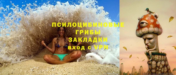 молекула духа Чегем