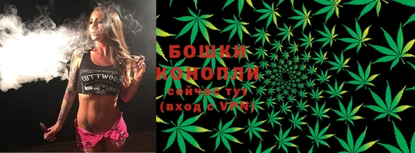 молекула духа Чекалин