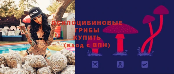 молекула духа Чекалин