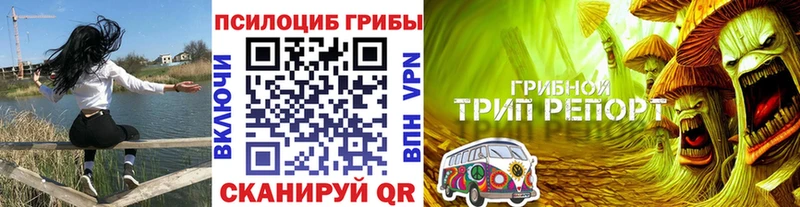 blacksprut как зайти  Нижневартовск  Галлюциногенные грибы Psilocybe 