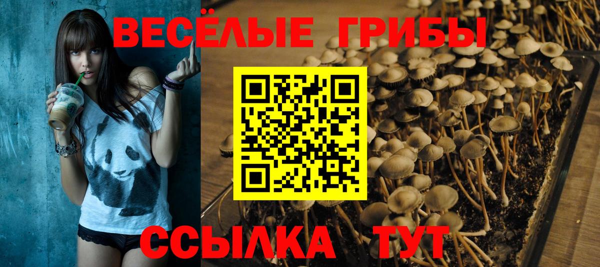 Псилоцибиновые грибы GOLDEN TEACHER Нижневартовск